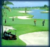 Golf Site